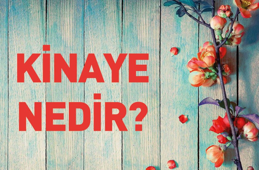 Kinaye Nedir